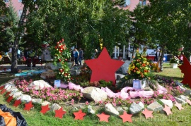Выставка цветов в Октябрьском районе Выставка цветов в Октябрьском районе