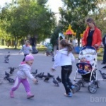Благоустройство Железнодорожного района Благоустройство Железнодорожного района