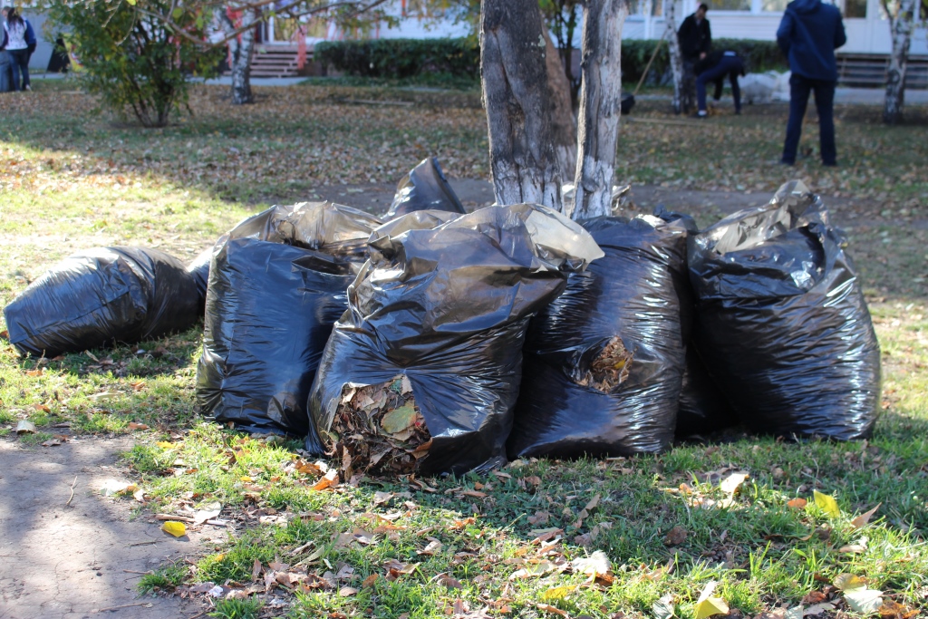 Во время субботника в пригороде Барнаула убрали несанкционированные свалки мусора