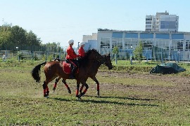 Благоустройство Ленинского района Благоустройство Ленинского района