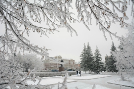Барнаул в "серебре" Барнаул в "серебре"