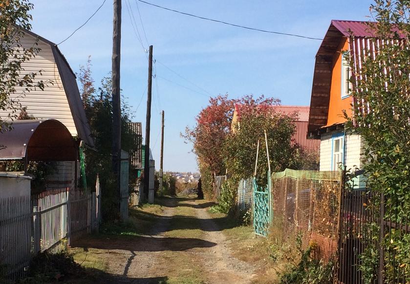 В администрации Барнаула подвели итоги конкурса среди городских садоводств