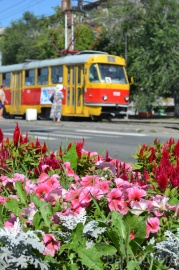 Благоустройство Железнодорожного района Благоустройство Железнодорожного района