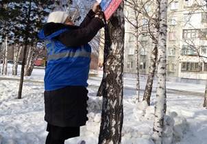 В Барнауле общественники счищают объявления со стен, деревьев и столбов