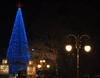 Открытие новогодней елки на площади Сахарова состоится 30 декабря