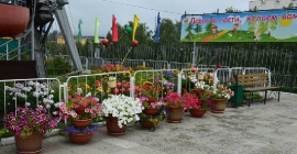 Благоустройство Железнодорожного района Благоустройство Железнодорожного района