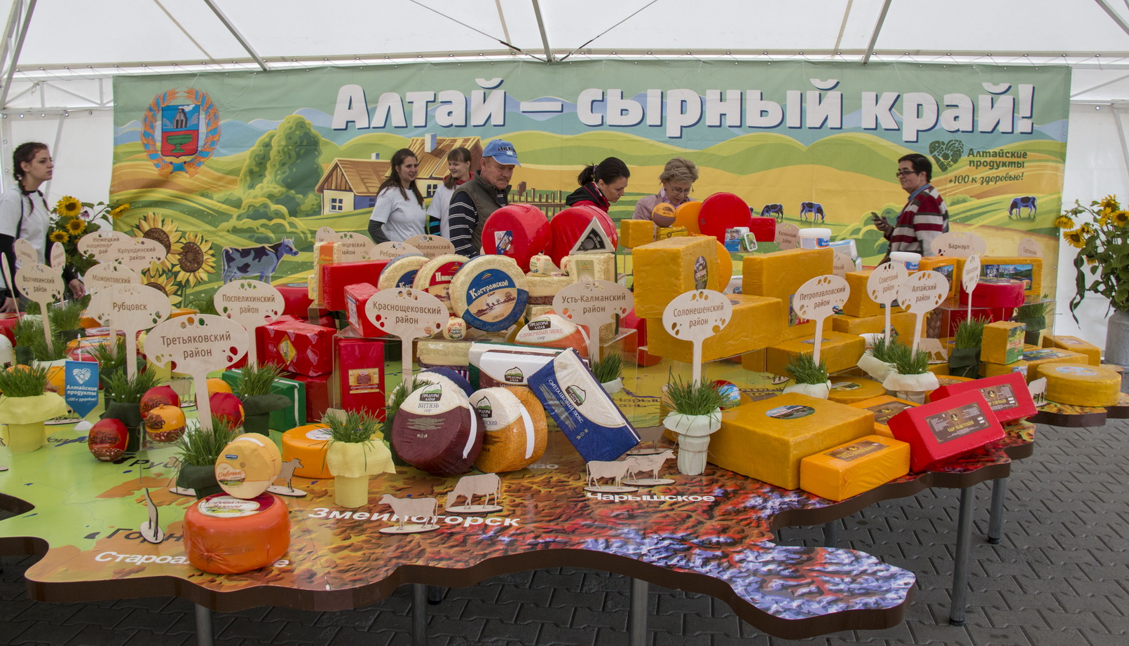 Почти 10 тонн сыра и другой молочной продукции было продано на фестивале «Дни алтайского сыра»