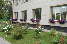 Благоустройство Октябрьского района Благоустройство Октябрьского района