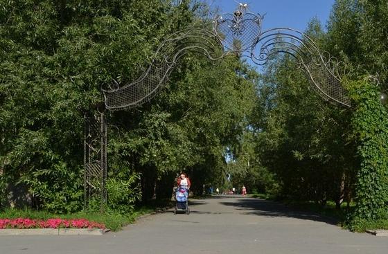 Парки и зеленые зоны в Барнауле обработают от клещей