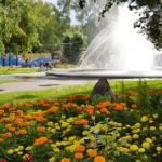 Благоустройство Центрального района Благоустройство Центрального района