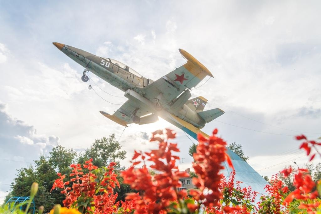 самолет "Л-39" самолет "Л-39"