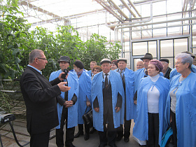 Барнаульские ветераны побывали с экскурсией в тепличном комплексе