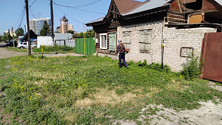 На территории Барнаула проводятся работы по уничтожению дикорастущей конопли