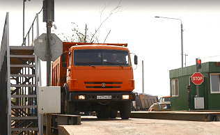 Барнаульцам напоминают: «зеленые» отходы с участков нельзя складировать в контейнеры для ТКО