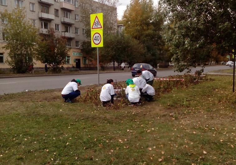 «Осенняя неделя добра»: в микрорайоне Новосиликатный провели экологический квест