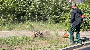 В Железнодорожном районе Барнаула продолжаются сезонные работы по покосу травы 