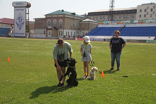 Барнаульцам бесплатно помогают дрессировать собак на пяти площадках города