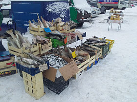 Восемь уличных торговцев привлекли к административной ответственности в Барнауле