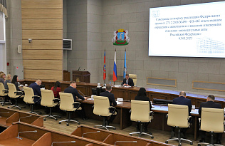 В администрации Барнаула обсуждается вопрос создания муниципального предприятия по отлову безнадзорных животных 