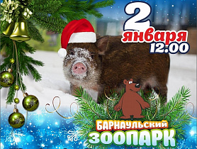 В Барнаульском зоопарке пройдет новогодний праздник 