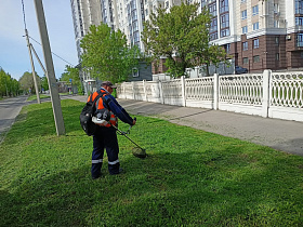 В Барнауле продолжаются работы по покосу травы 
