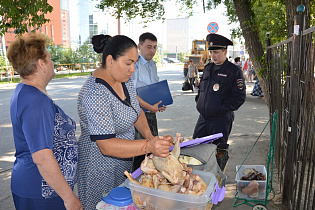 В Барнауле за незаконную торговлю скоропортящимися продуктами на улице выписали еще четыре штрафа