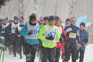 В Барнауле пройдут спортивные мероприятия, посвященные Дню защитника Отечества