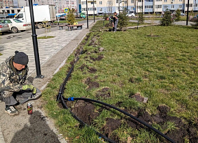 В Барнауле в сквере «Взлетный» появится автоматическая система полива