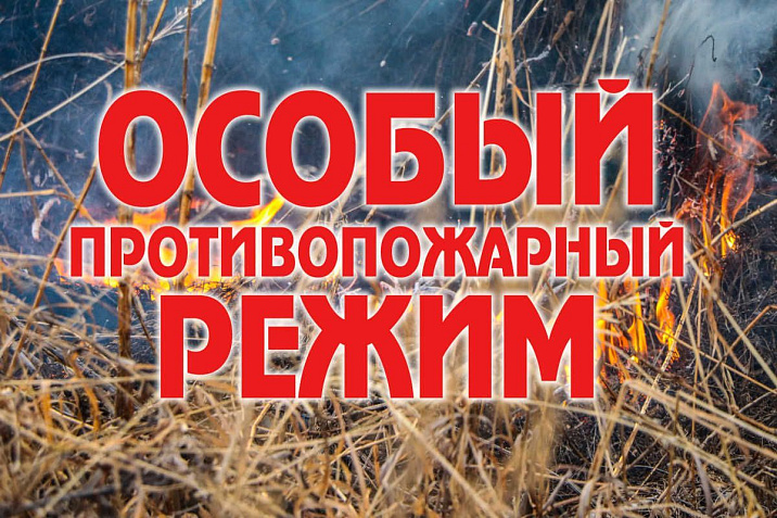 Особый противопожарный режим введен в Алтайском крае 