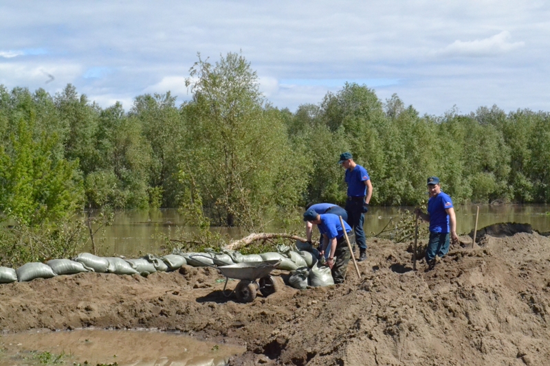 Вода в оби поднимается