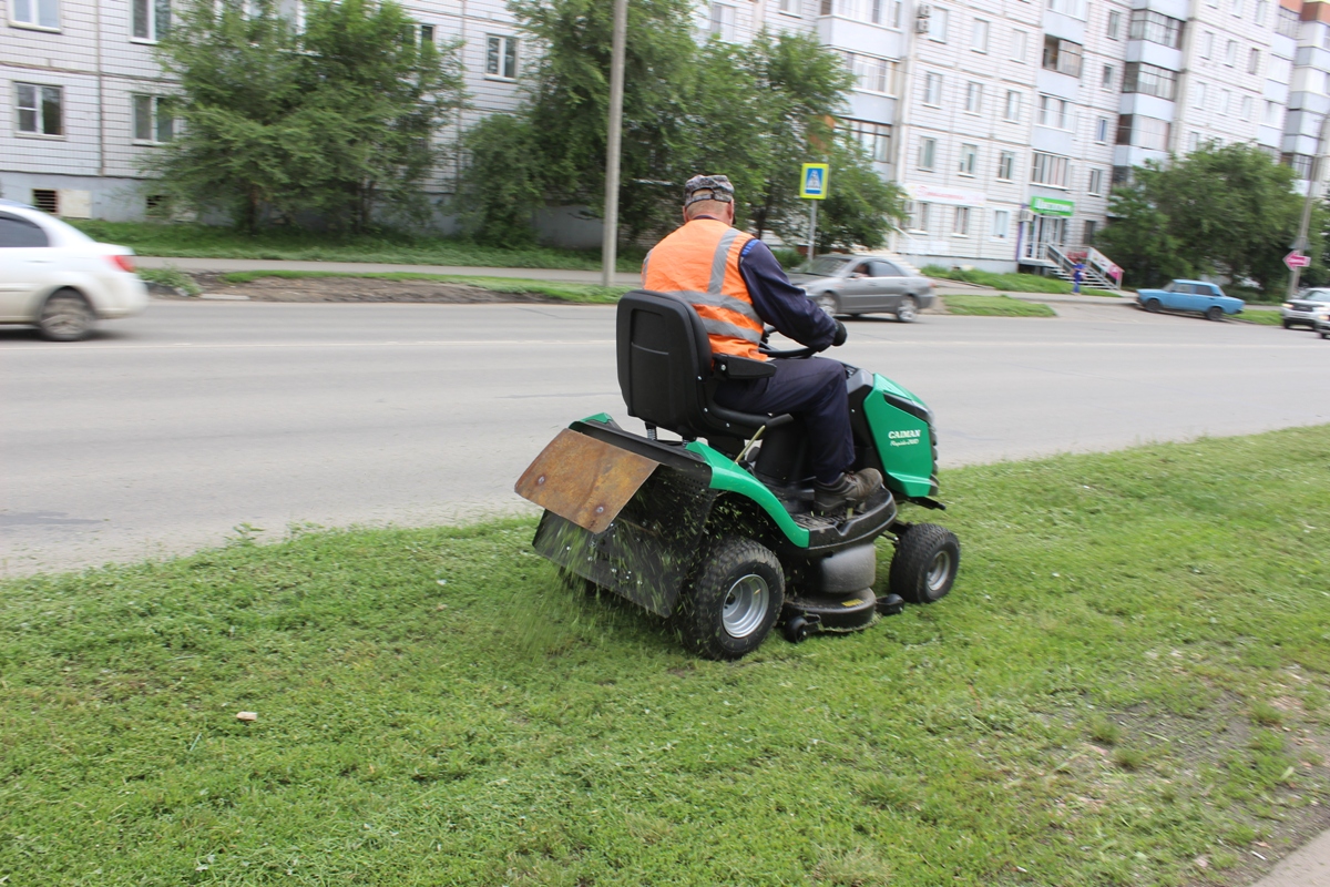 В Барнауле после затяжных дождей косят газоны 