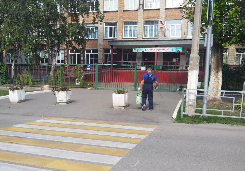 В Барнауле завершили дезинфекцию пешеходных переходов, ведущих к школам