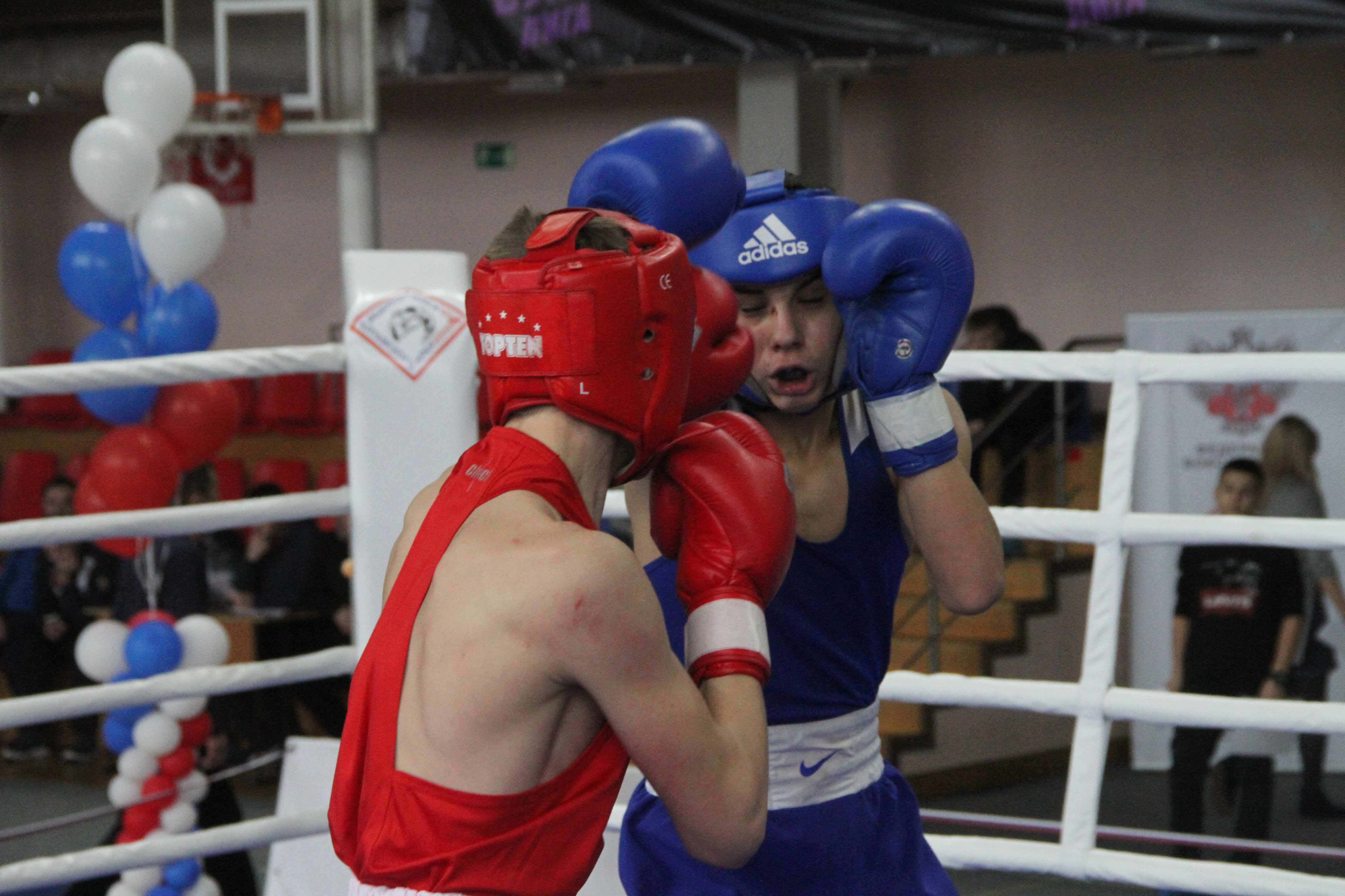 В Барнауле сегодня стартуют краевые соревнования по боксу