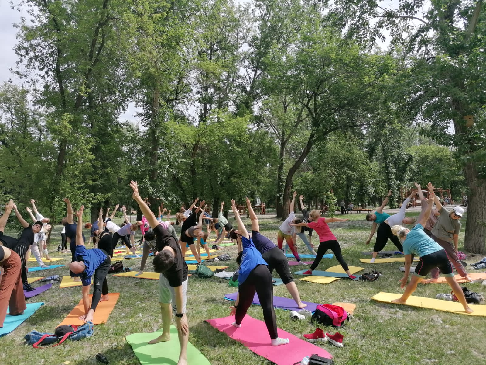В Барнауле отметили Международный день йоги