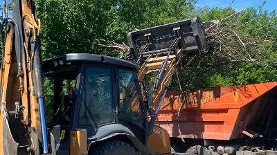 На пригородной территории проводятся мероприятия по благоустройству