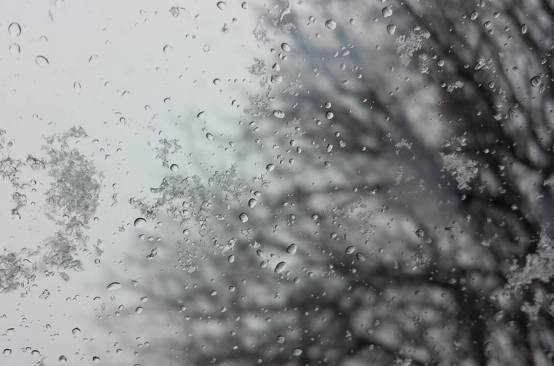 В Алтайском крае вновь ожидают снег и порывистый ветер