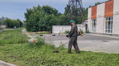 Покос травы проводится на территории Индустриального района