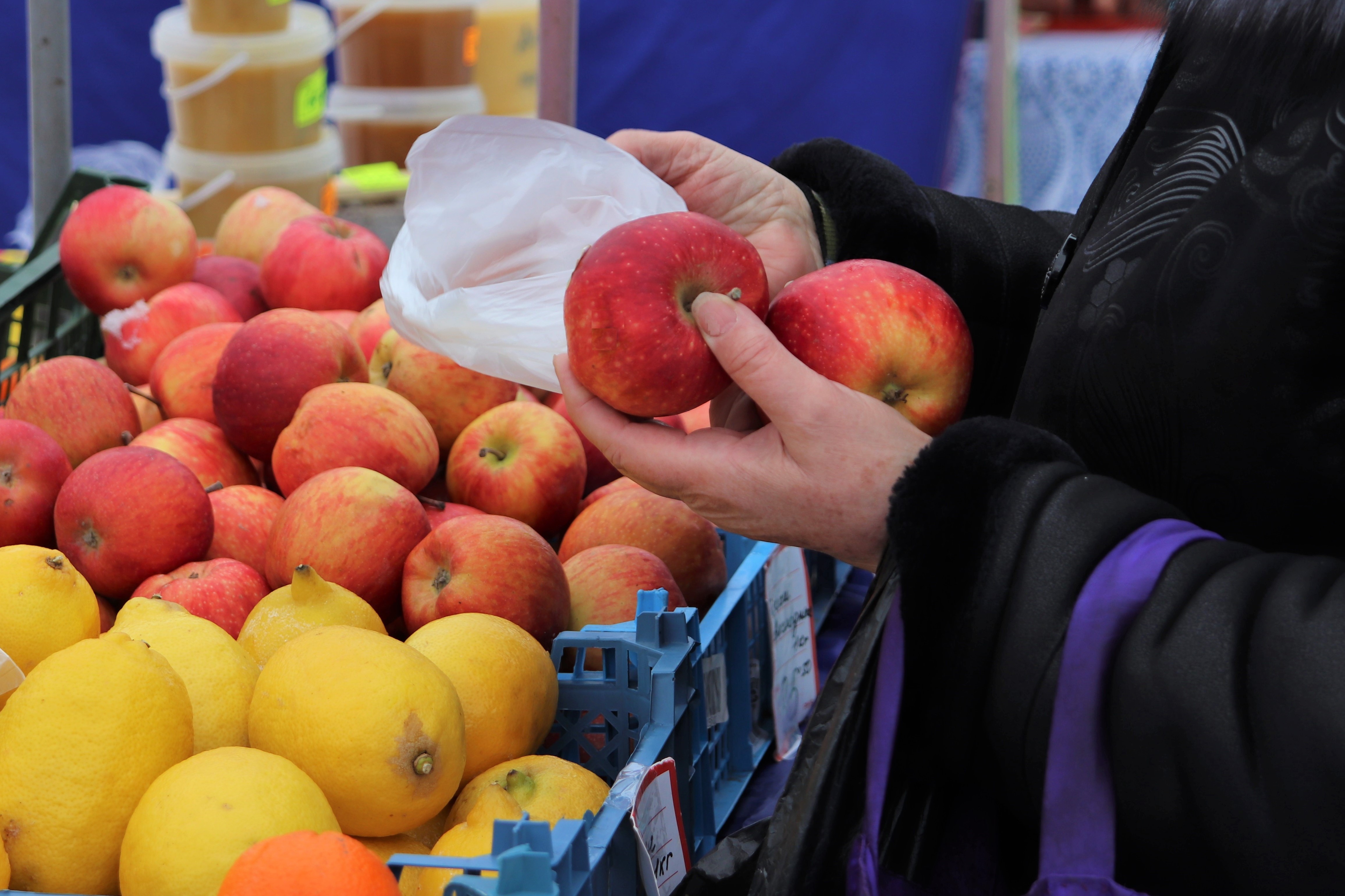 Продовольственная ярмарка барнаул. Продовольственная ярмарка. Продуктовая ярмарка. Ярмарка продуктов. Весенняя продовольственная ярмарка.