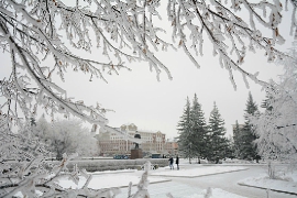 Значительное похолодание обещают синоптики в Барнауле в ближайшие дни 