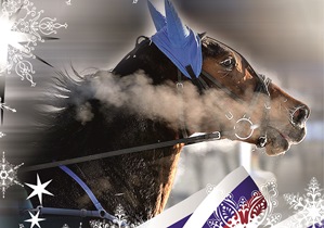8 марта на  Барнаульском ипподроме пройдёт традиционный  конно-спортивный праздник – «Большие зимние  бега»