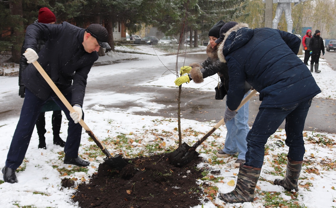 В Ленинском районе Барнаула высадили деревья в рамках месячника осенней санитарной очистки
