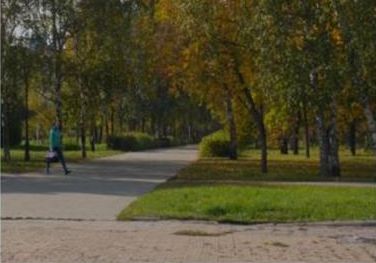Интернет-форум по вопросам благоустройства общественных территорий Ленинского района пройдет на сайте Барнаула