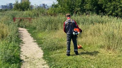 В выходные дни специализированными организациями проводился покос травы