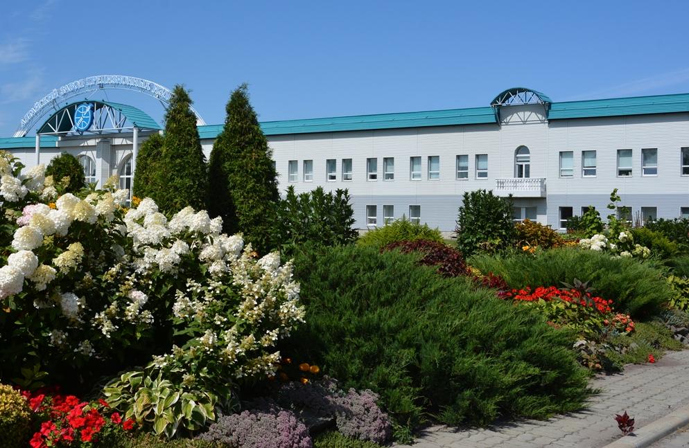 Изменения в Правилах благоустройства Барнаула вступят в силу с 1 сентября