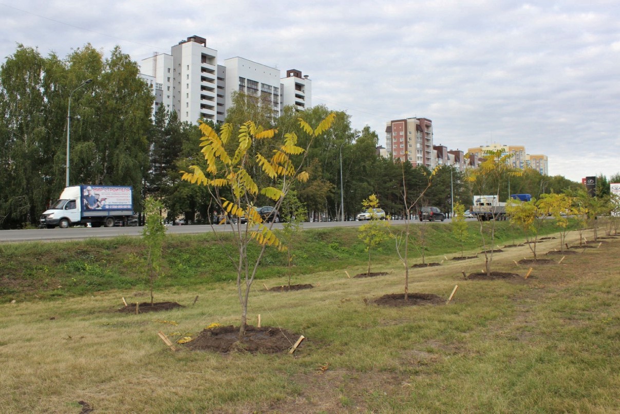 Дендрарий Барнаул Фото Осень