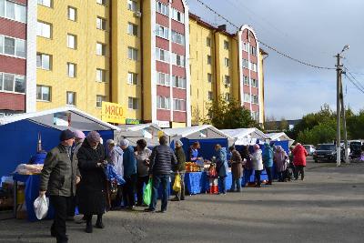 Продовольственная ярмарка прошла в микрорайоне Новосиликатный