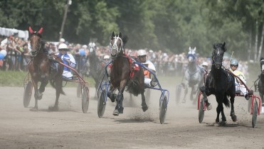 В минувшие выходные прошли соревнования на «Кубок Губернатора Алтайского края по конному спорту - 2022»