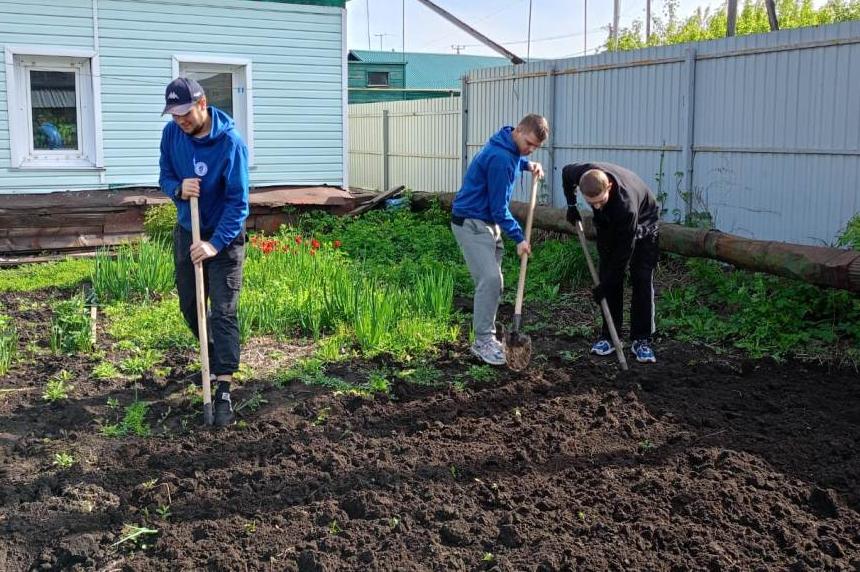 Студенты АГК помогли ветерану Великой Отечественной войны Григорию Педунову вскопать огород около дома