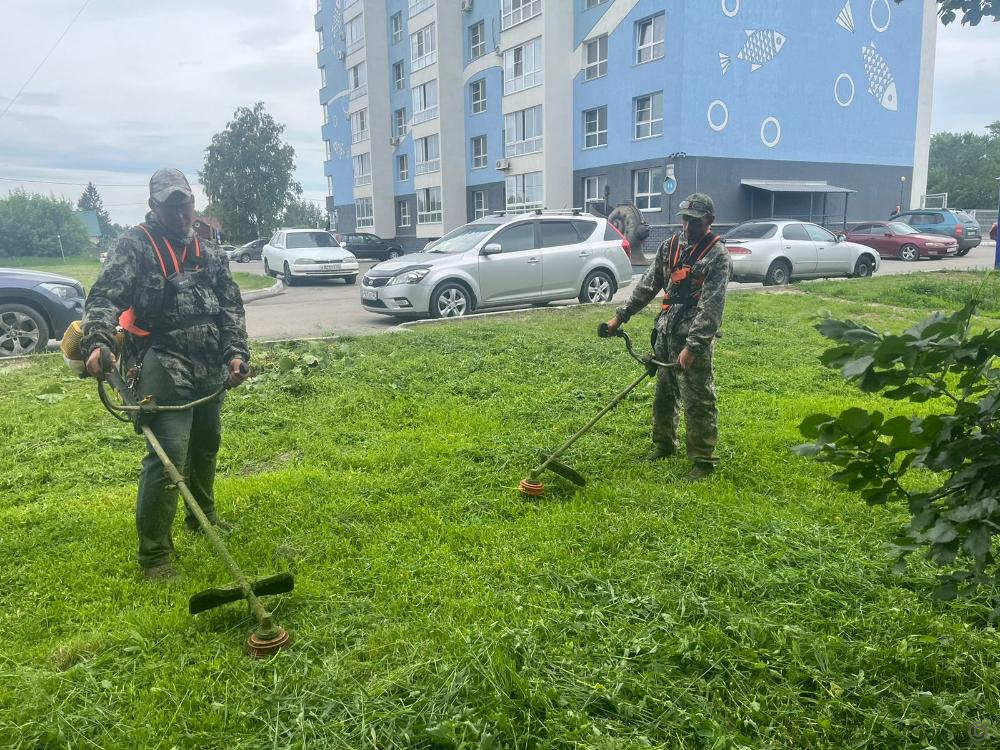 В Барнауле продолжаются работы по благоустройству территорий