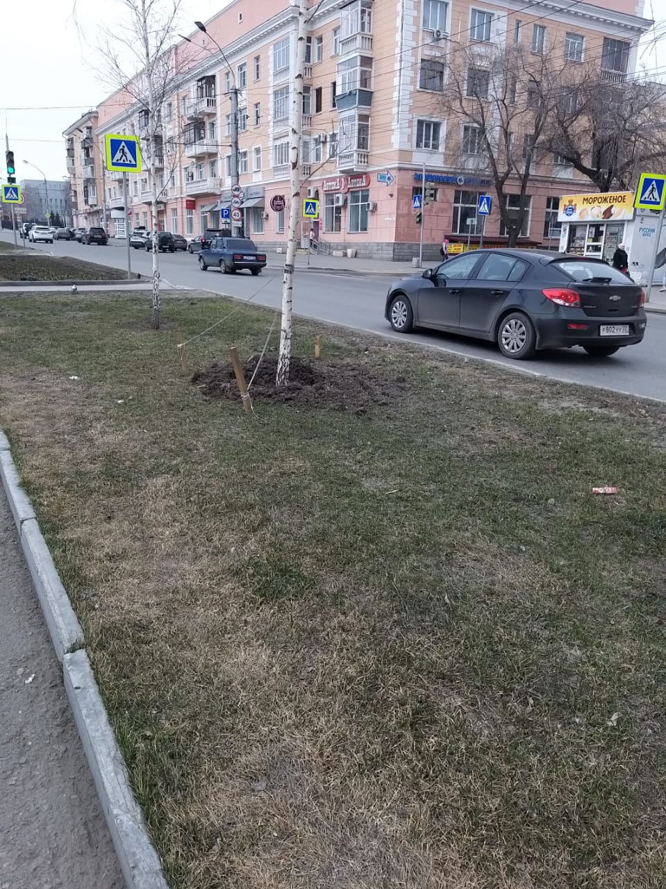 В Барнауле отмывают после зимы скамейки и ограждения, поправляют растяжки саженцев деревьев, ворошат оставшийся снег